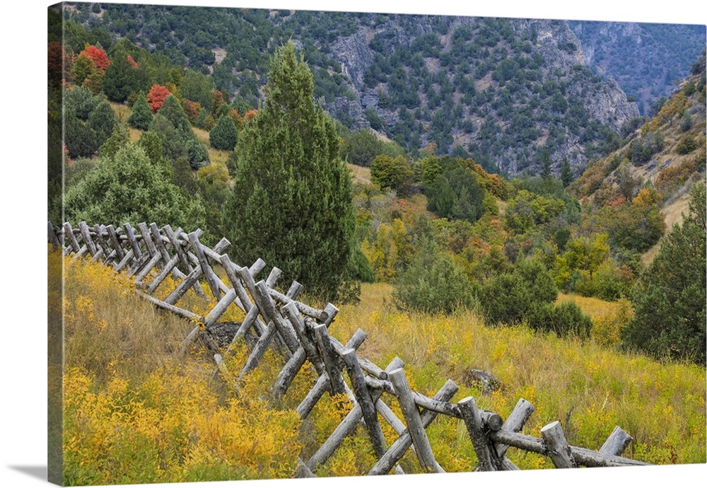 USA, Utah, Wasatch Mountains. Fence and meadow  landscape.