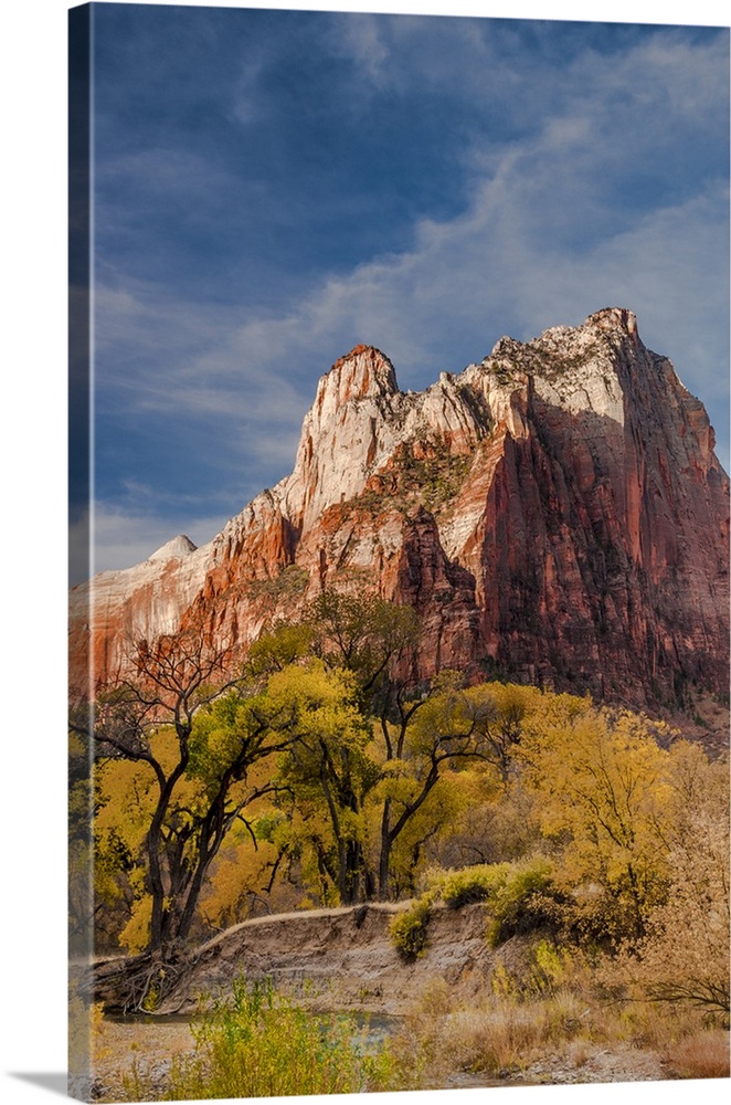 North America, USA, Utah, Zion National Park.  Autumn foliage in front of the Sentinel in  Zion National Park, UT