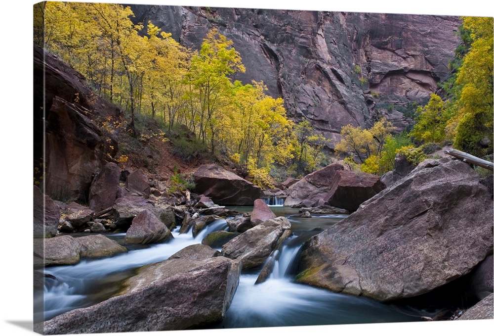 USA, Utah, Zion National Park. Waterfall with cottonwood trees along Riverside Walk in The Narrows.