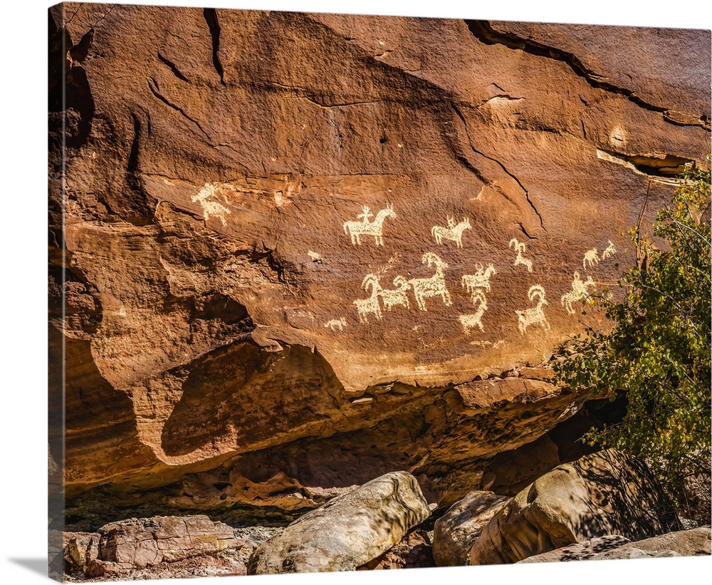 Ute Indian petroglyphs, Arches National Park, Moab, Utah, USA. Created 1650 to 1850 AD glyphs are of sheep, horses and dogs.