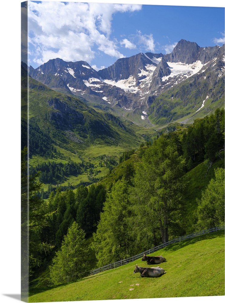 Valley Seeber Tal and Mt. Hochfirst in the Nature Park Texelgruppe in the Passeier Valley in the Otztal Alps. Italy, South...