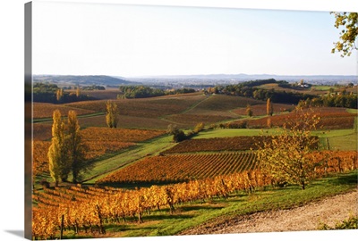 View over the vineyards in Bergerac at Chateau Belingard, Dordogne, France