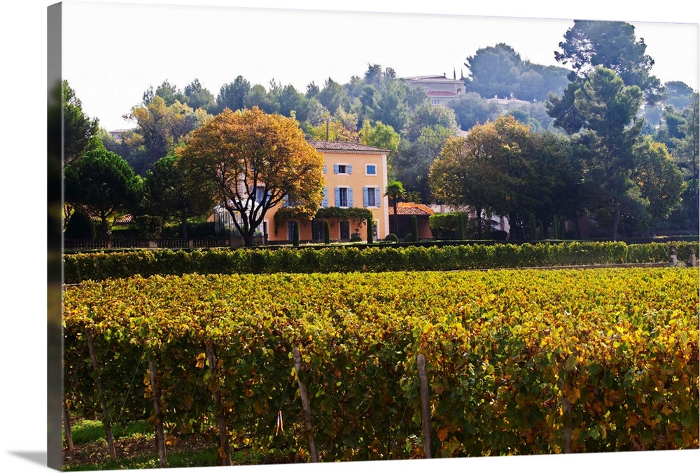 The Mas chateau that has given its name to the domaine. Mas La Chevaliere. near Beziers. Languedoc. The main building. Fra...