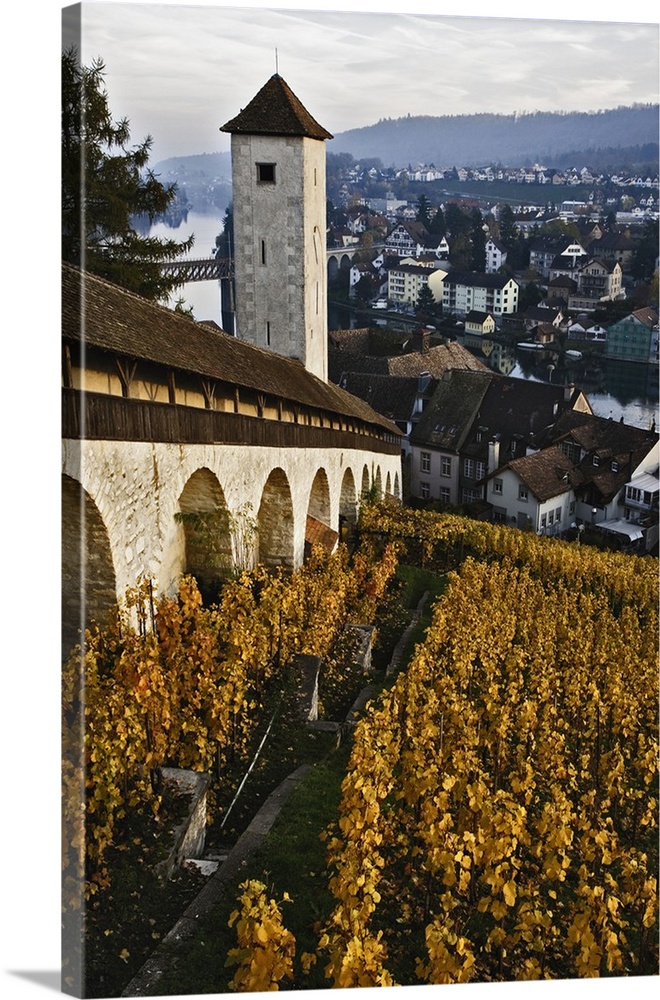 Vineyard and Rhein River from Munot Castle, Schaffhausen, Switzerland