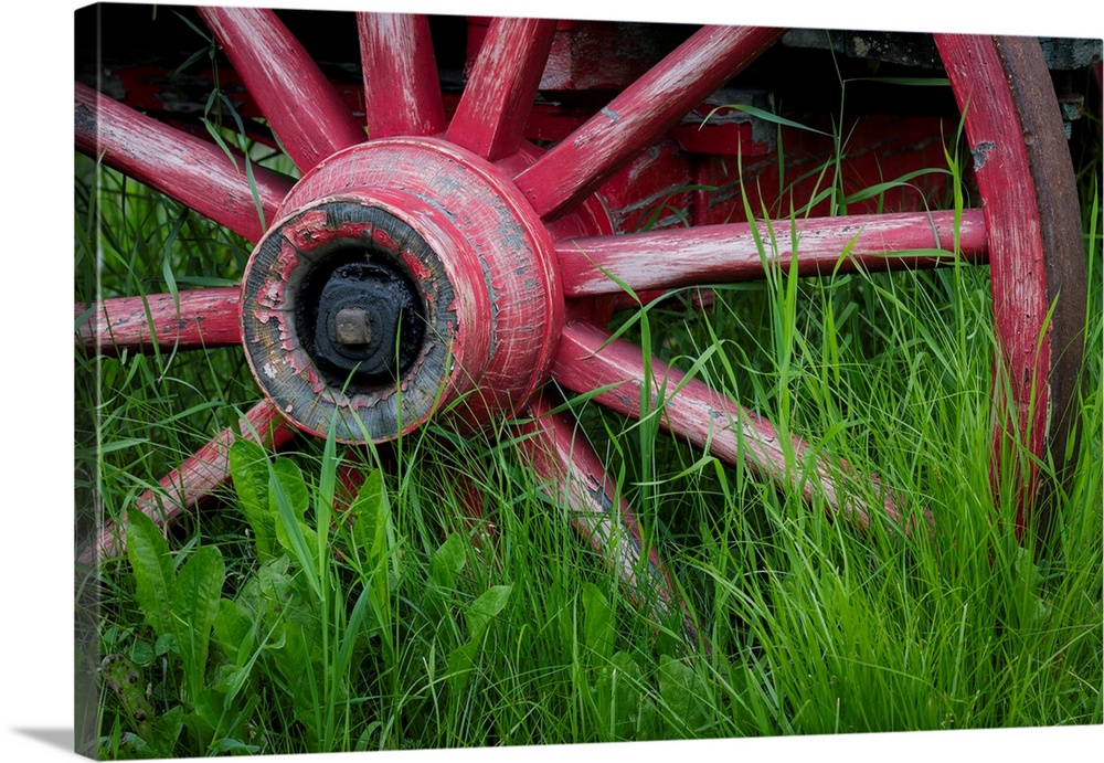 USA, Alaska, Chena Hot Springs. Vintage wagon wheel and grass.