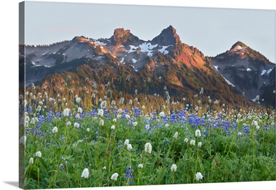 WA, Mount Rainier National Park, Tatoosh Range And Wildflowers