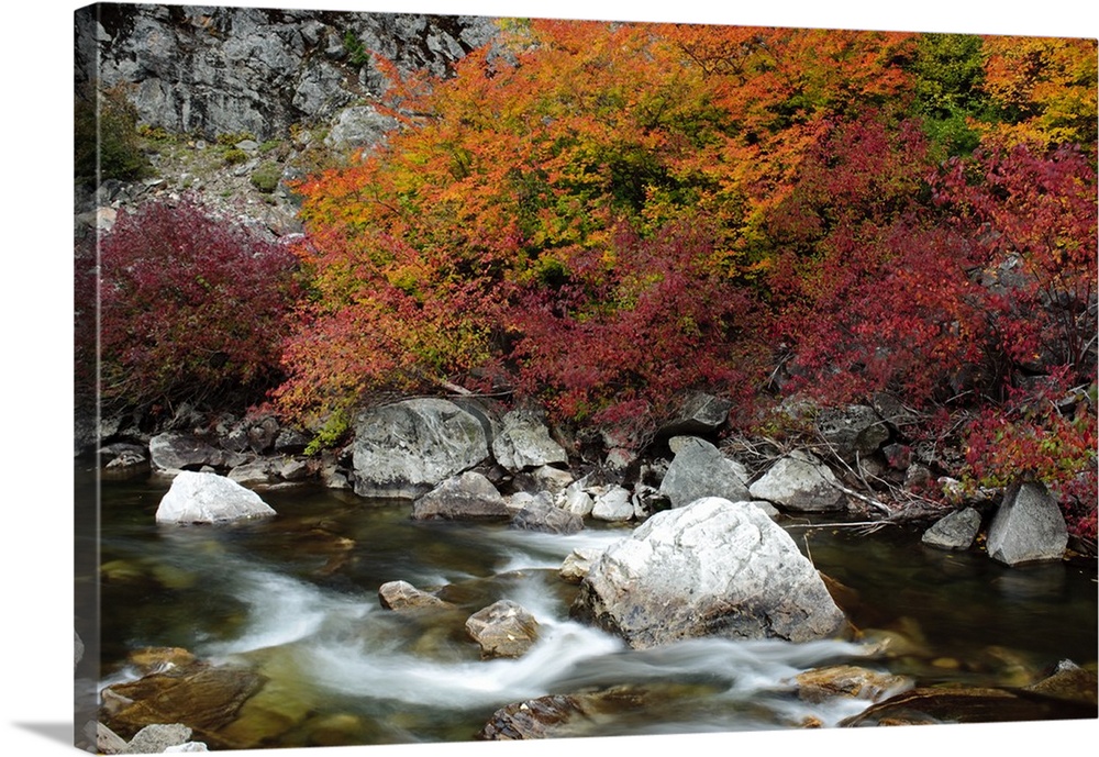USA, Washington, Hwy 2. Fall along the Nason Creek in the North Cascades.