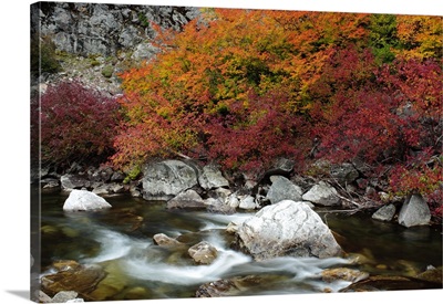 Washington, Hwy 2, fall along the Nason Creek in the North Cascades