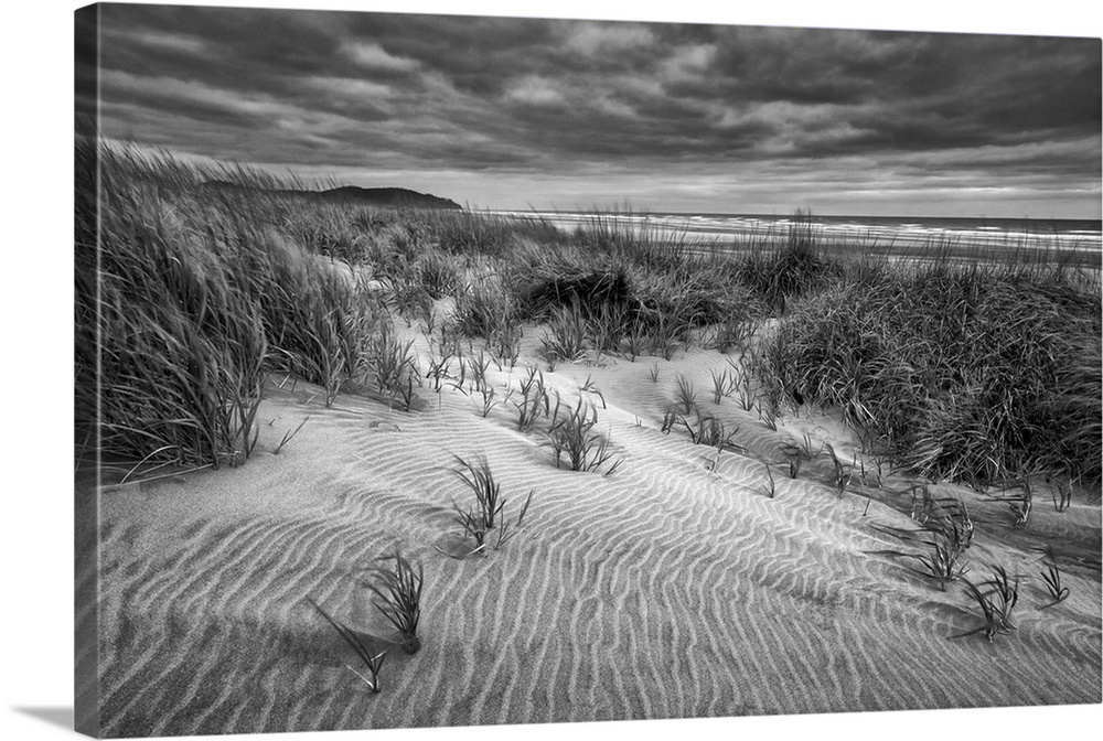 USA, Washington, Long Beach, Dusk on the beach dunes