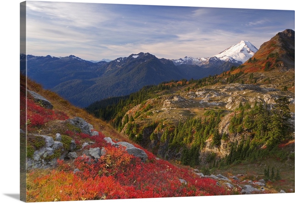 USA, Washington, Mount Baker Wilderness. View of Mount Shuksan from Yellow Aster Butte Trail.