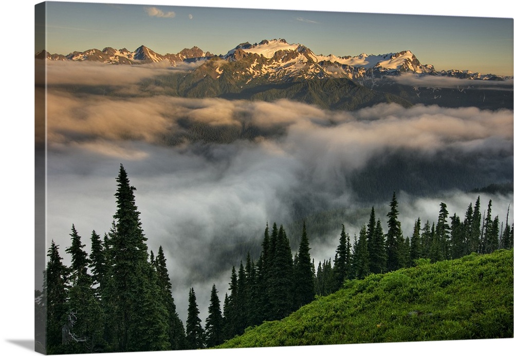 USA, Washington, Olympic National Park.  View of Mt. Olympus from the High Divide.