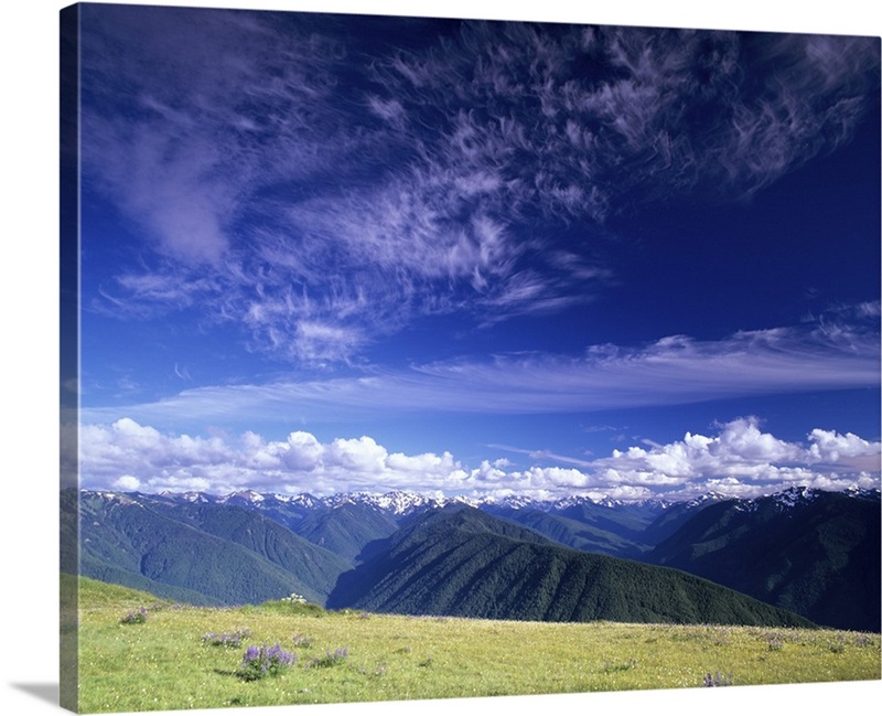 Washington Olympic National Park, Olympic Mountain Range | Great Big Canvas