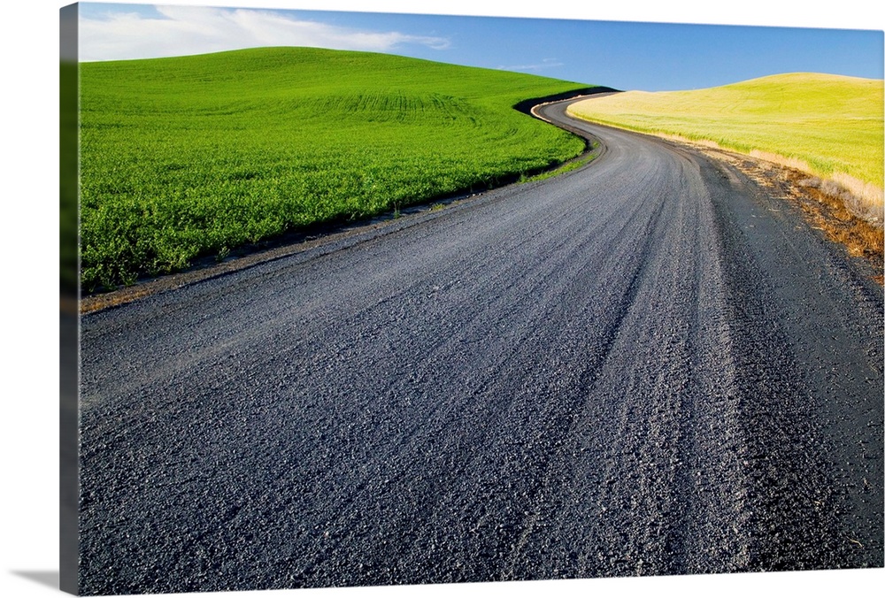 Washington, Palouse Country, Road Leading Through Spring and Winter Wheat Fields in S-Pattern.