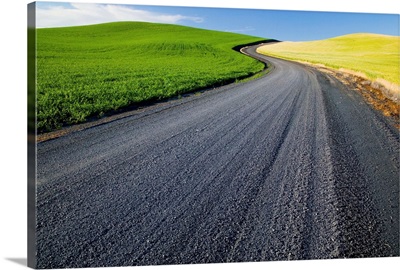 Washington, Palouse Country, Road Leading Through Wheat Fields
