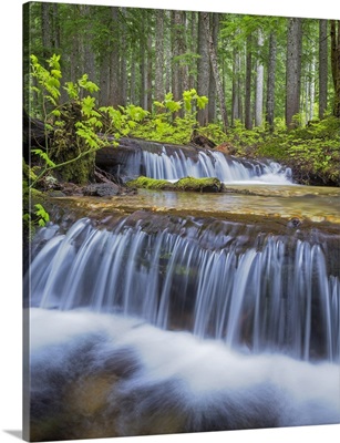 Washington State, Gifford Pinchot National Forest. Waterfall and forest scenic