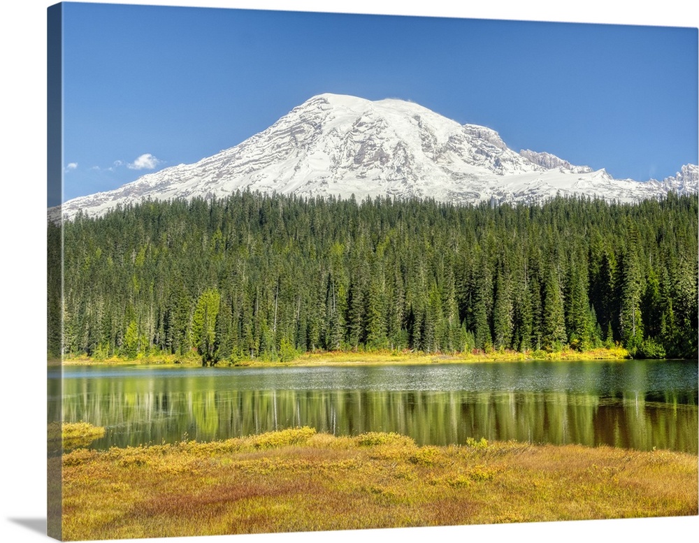 Washington State, Mount Rainier National Park. Autumn colored grasses and Mount Rainier with new snow, trees reflected in ...
