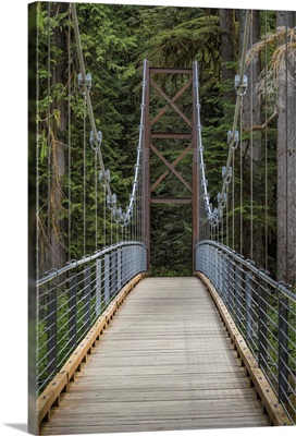 Washington State, Olympic National Park, Bridge Over Skokomish River