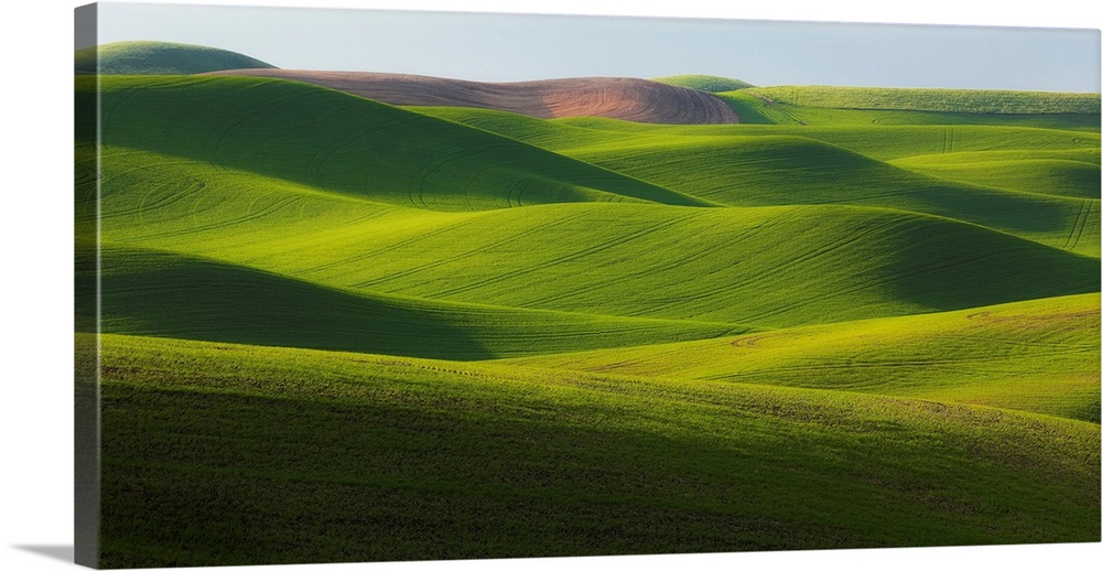 USA, Washington State, Palouse. Rolling hills of wheat fields. Credit: Jim Nilsen