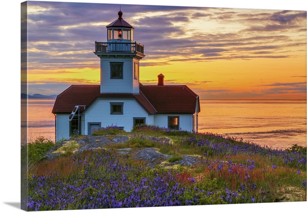 USA, Washington, San Juan Islands. Patos Lighthouse and camas flowers at sunset.