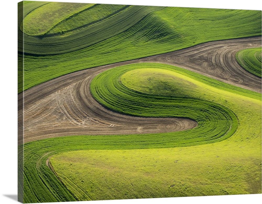 USA, Washington state, Palouse, Whitman County.  Aerial photography in the Palouse region of eastern Washington.
