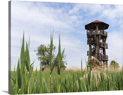 Watch tower at the fish ponds of Hortobagy in the Hortobagy NP, Hungary