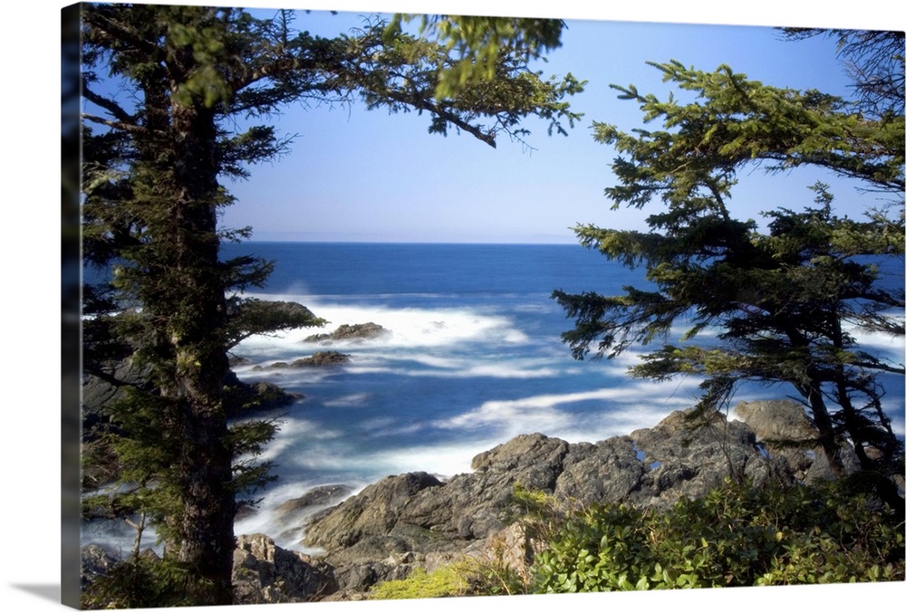Wild Pacific Trail, Ucluelet, Vancouver Island, British Columbia