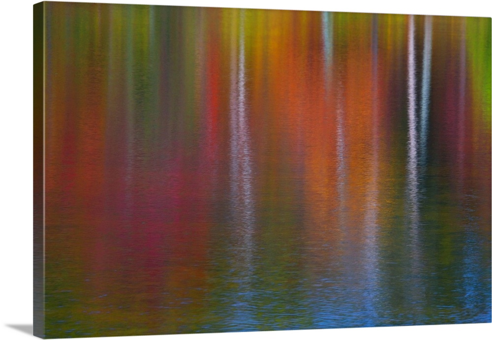 As the wind blew the surface of the water, the reflections became quite abstract blending the colors reflected from the tu...