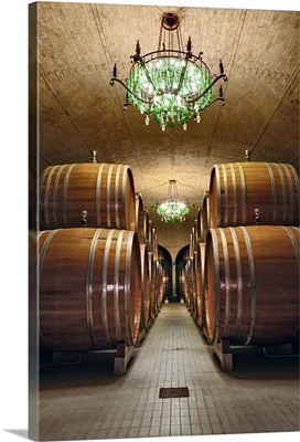 Wine Barrel room, Castle Banfi, Tuscany, Italy