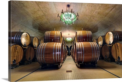 Wine Barrel room, Castle Banfi, Tuscany, Italy