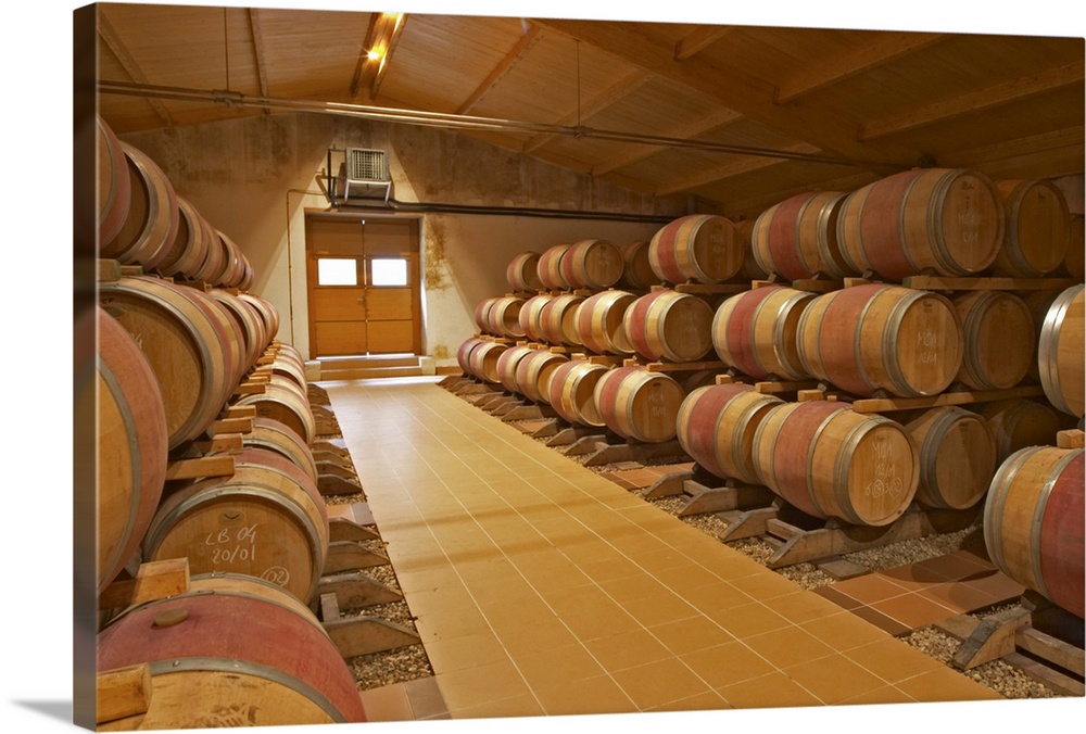 Wine Cellar, Rows And Stacks Of New Oak Barrels With Ageing Wine Chateau Bouscaut