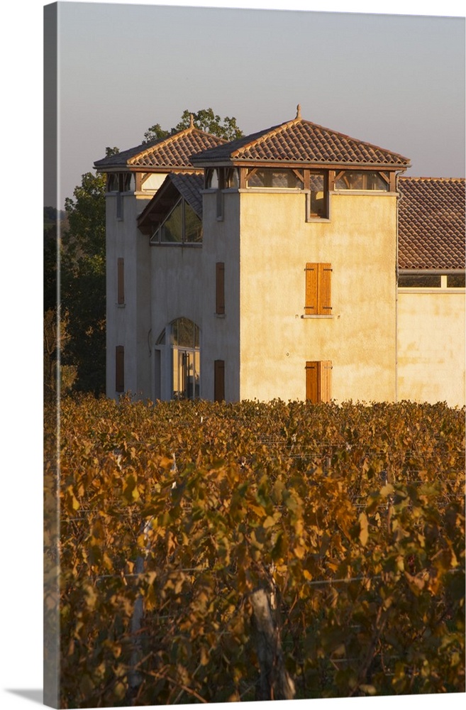 The newly constructed winery building seen over the green yellow golden vineyard in evening late afternoon autumn sunshine...