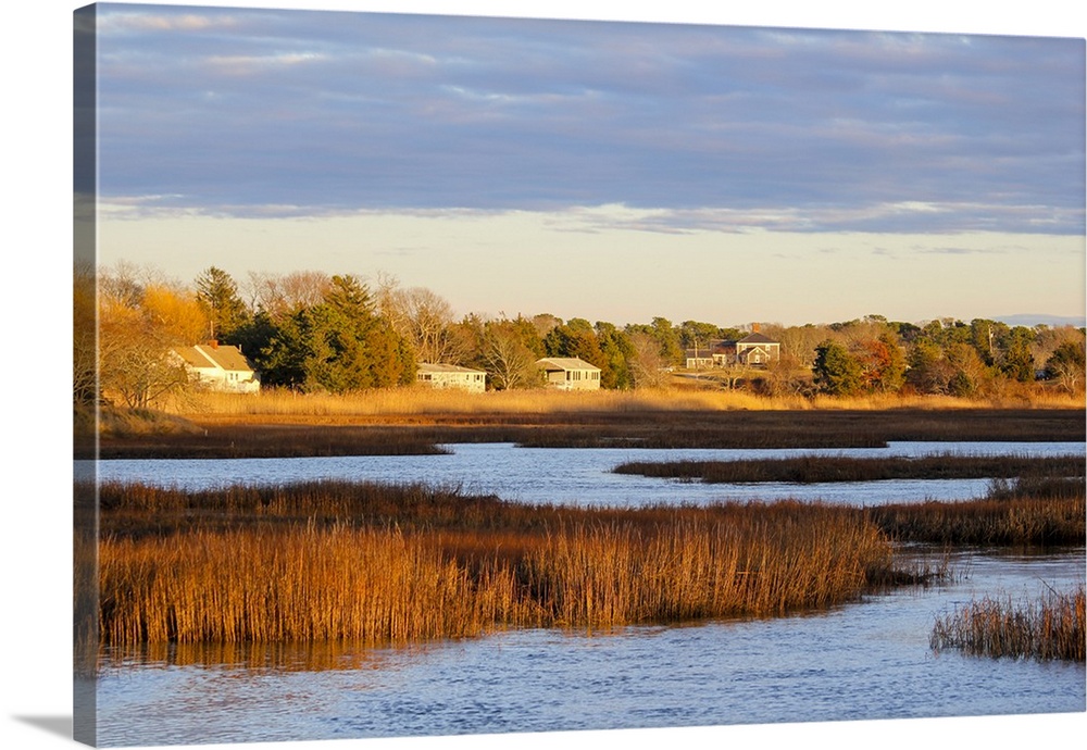 A winter view of wetlands in Barnstable, Cape Cod, Massachusetts, USA, North America