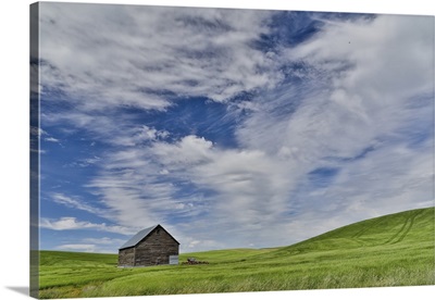 Wooden Barn In Wheat Field Just North Of Genesee, Idaho