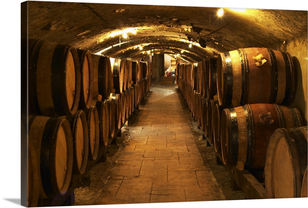 Wooden barrels with aging wine in the cellar of Guigal in Ampuis.  Domaine E Guigal, Ampuis, Cote Rotie, Rhone, France, Eu...