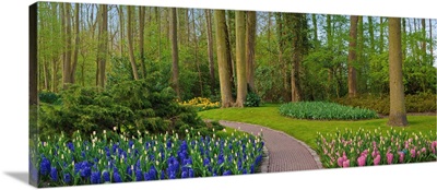 Woodland Spring Garden