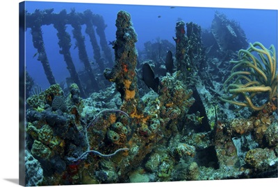 Wreck of the RMS Rhone, iron-hulled steam sailing vessel