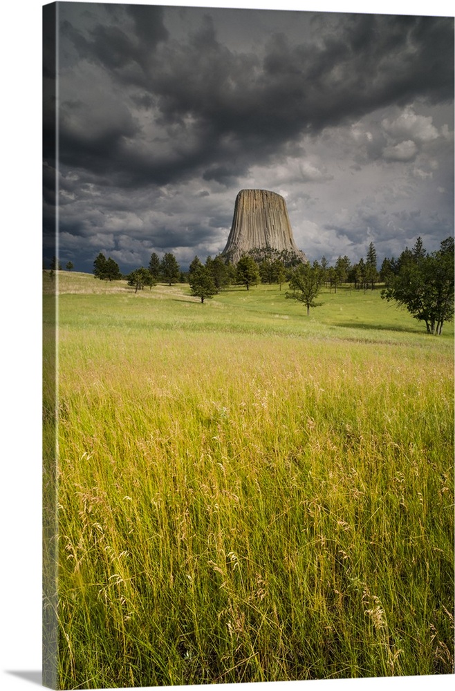 North America, USA, Wyoming, Devil's Tower National Monument. Devil's Tower National Monument columnar basalt formation an...