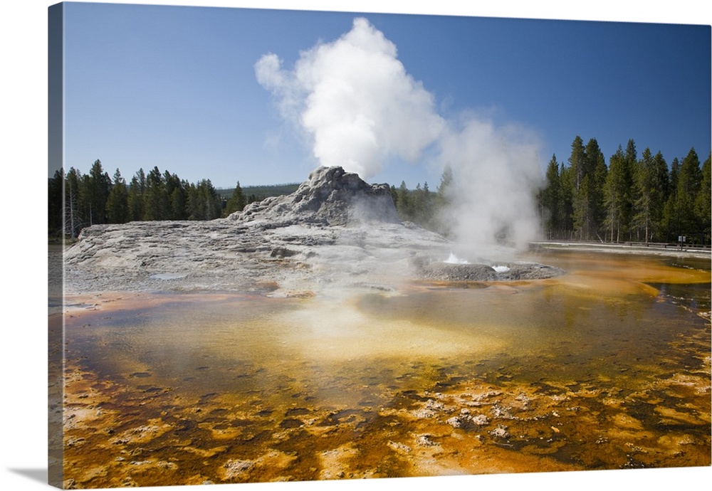 Wyoming, Yellowstone National Park, Upper Geyser Basin, Crested Pool, colorful bacterial mat.