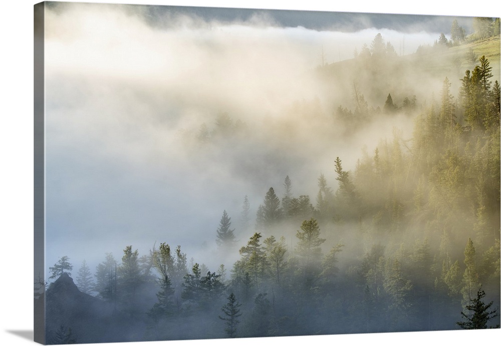 USA, Wyoming, Yellowstone National Park. Mist envelopes the Yellowstone River canyon. Credit: Don Grall