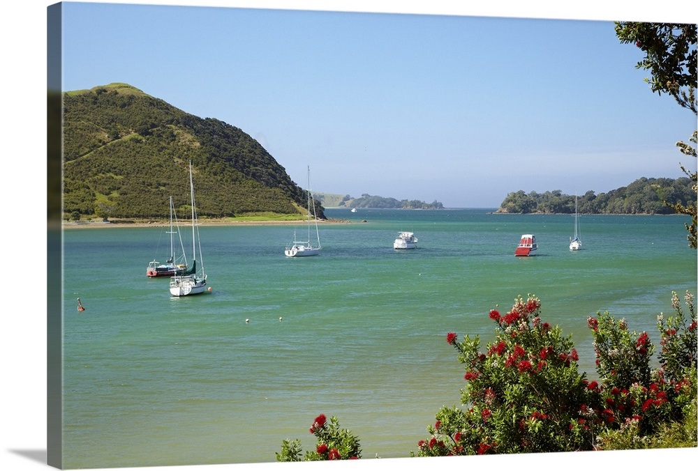 Yachts Waipiro Bay, Parekura Bay, Northland, North Island, New Zealand ...