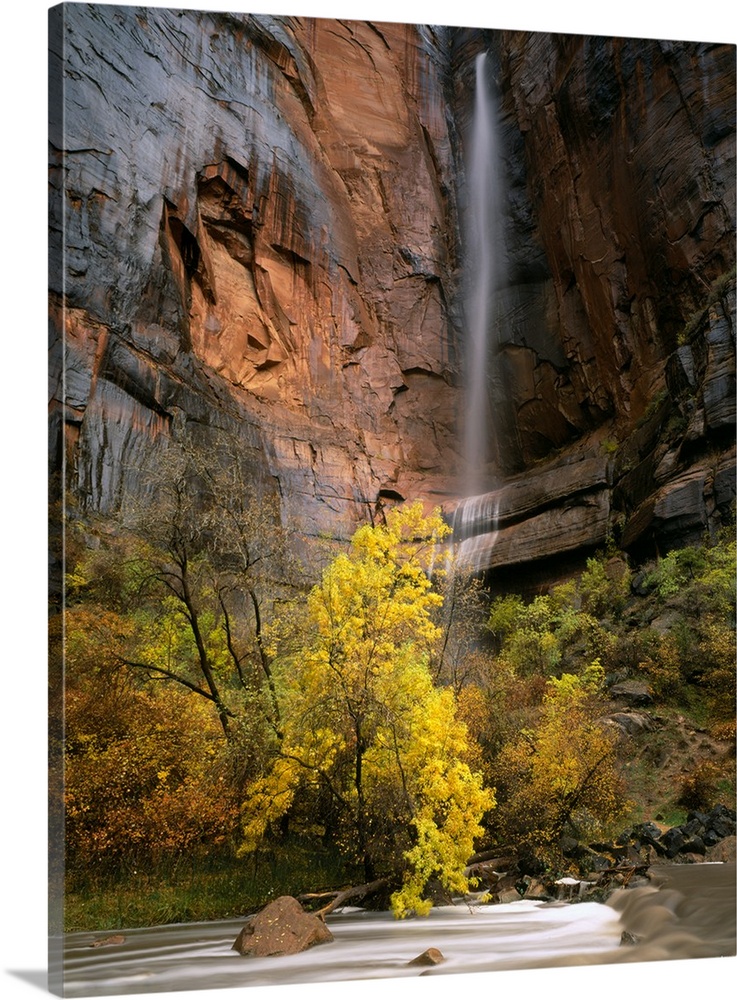 Zion National Park, Utah. Ephemeral waterfall pours over cliff above Virgin River during autumn rain storm. Temple of Sina...