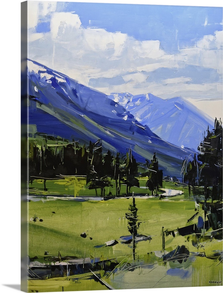 Buena Vista Mountains, Colorado, 2017 Wall Art, Canvas Prints, Framed