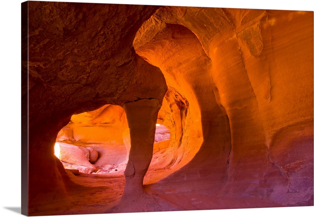 Elephant trunk sandstone formation in Valley of Fire State Park, Nevada, USA.
