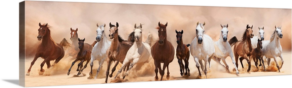 A herd of horses running on the sand storm.