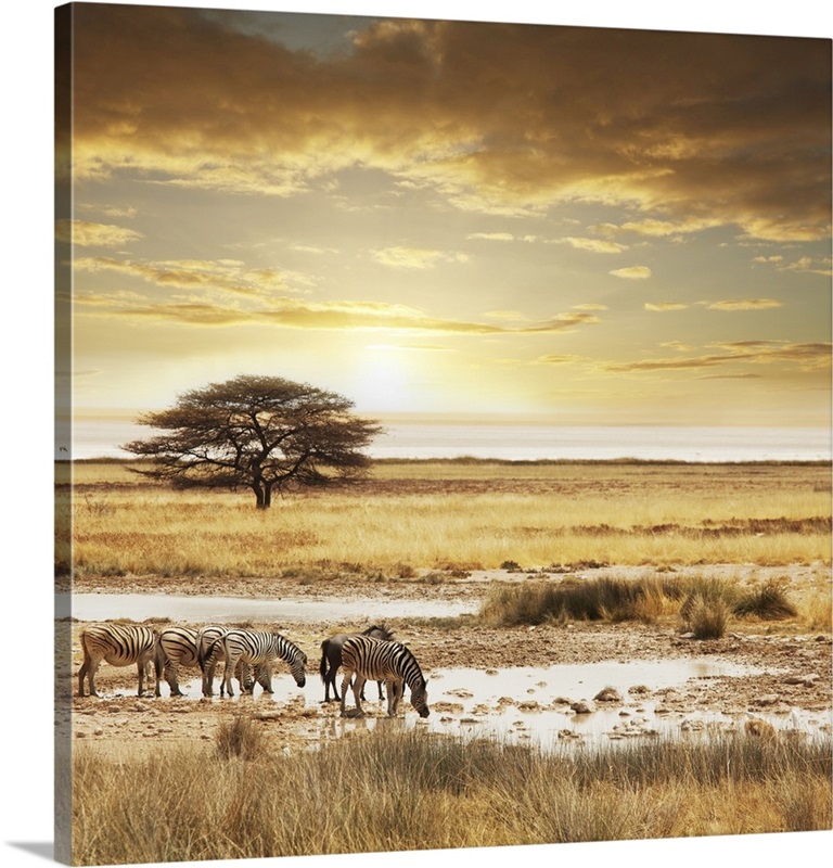 African Safari Wall Art, Canvas Prints, Framed Prints, Wall Peels