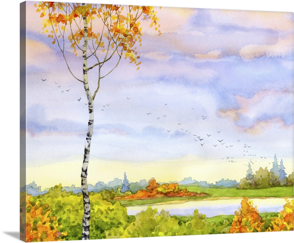 Originally a watercolor of an autumn landscape. A lonely birch with a cloudy sky at sunset.