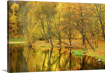 Autumn City Park Scenery In Vilnius, Lithuania