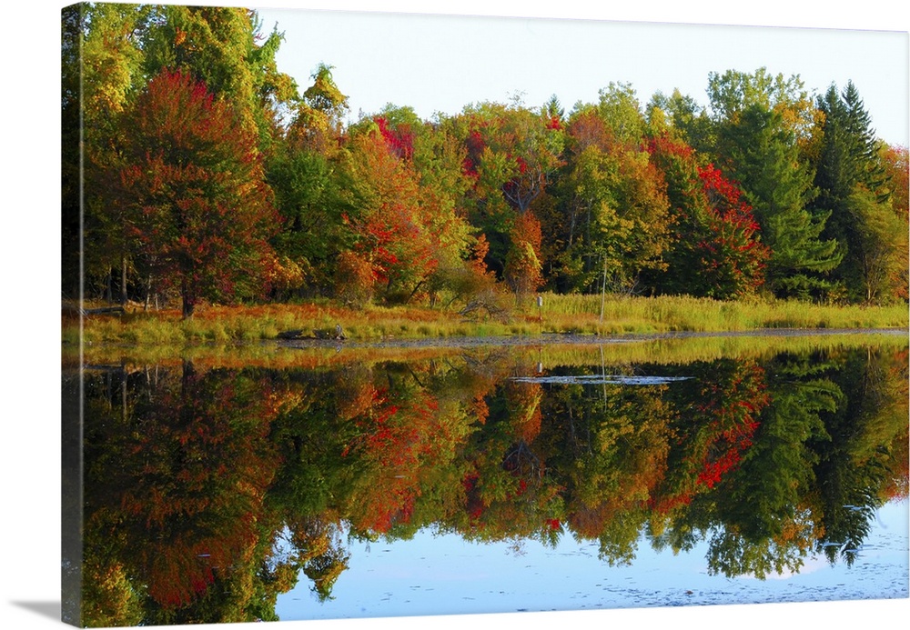 Scenic autumn lake in late September.