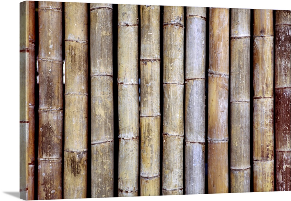 Background from old bamboo sticks, wood texture.