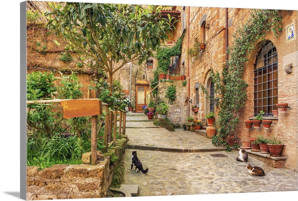 Beautiful alley in old town Tuscany.
